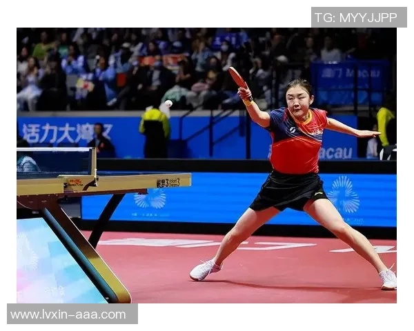 乒乓球纪实：记录北京乒乓球队的逆袭之旅